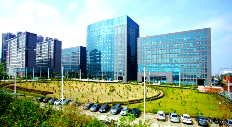 北京中青游国际旅行社有限公司解读国内出境旅游最新政策与合规要点